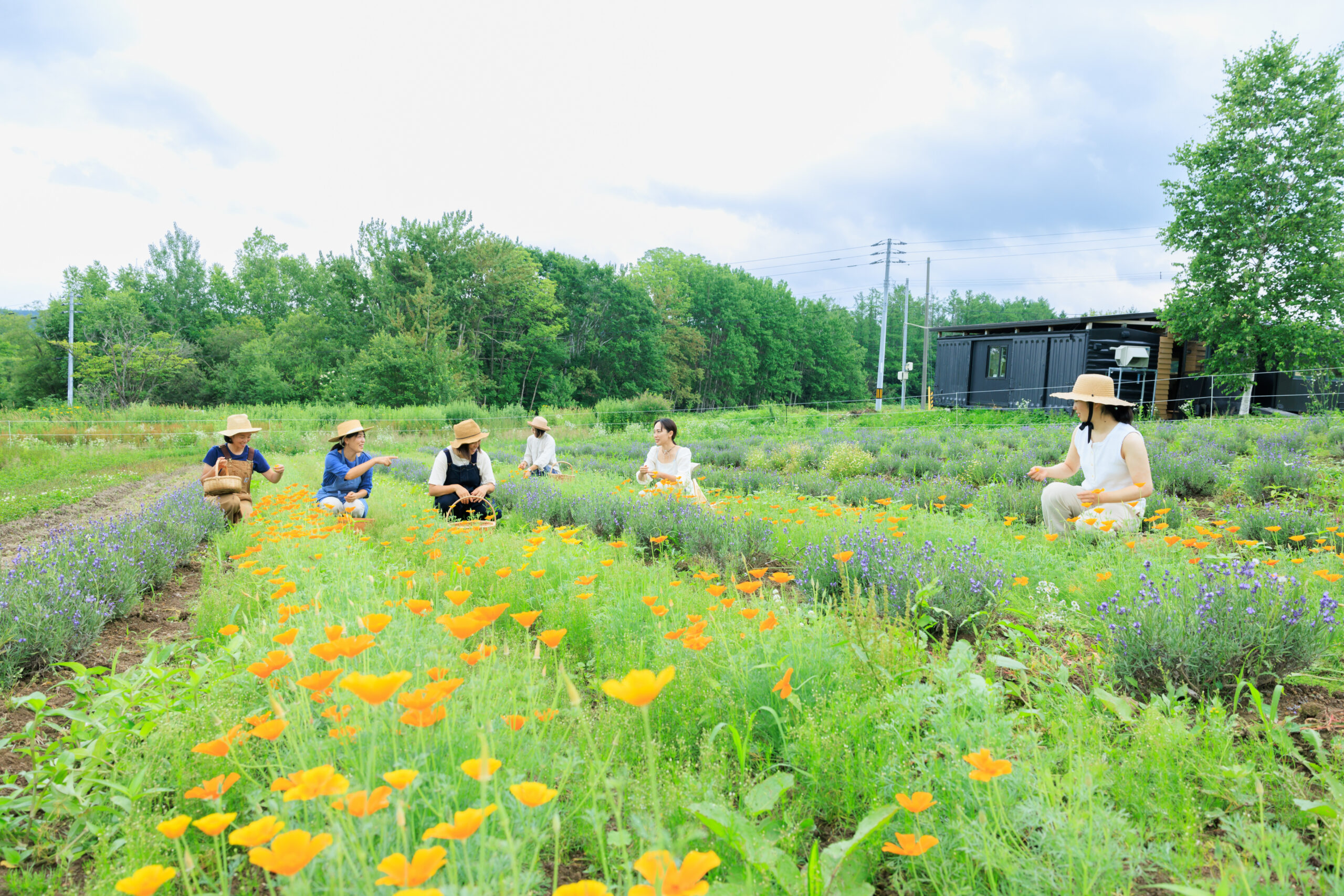 旭川市｜有機香草農園體驗