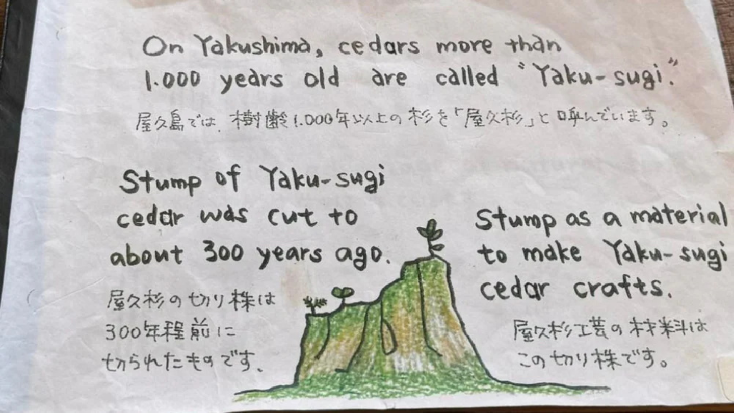 屋久島限定屋久杉手工筷｜將世界自然遺產的靈魂帶入日常餐桌