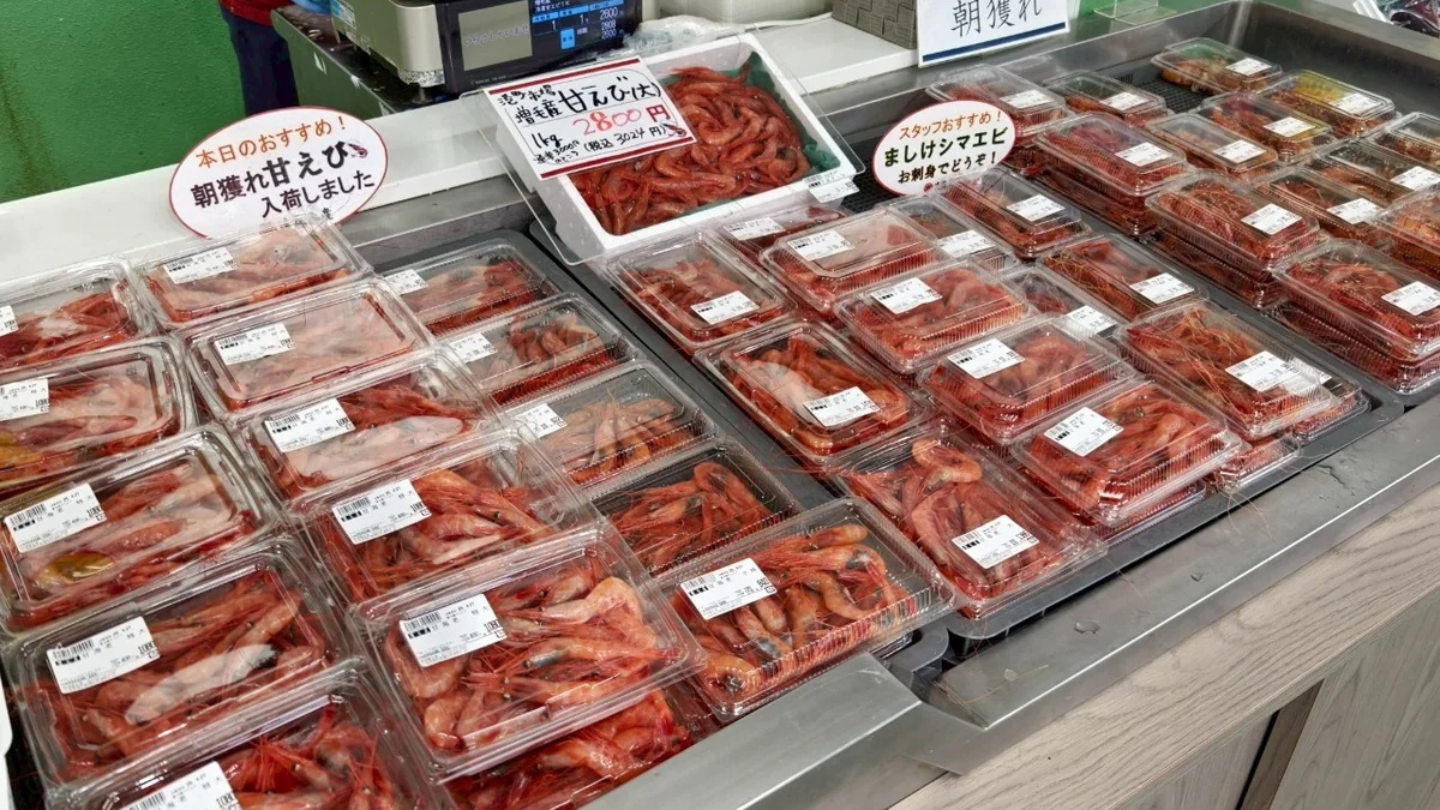 北海道增毛國稀酒造｜解鎖清酒與海味的最佳搭配