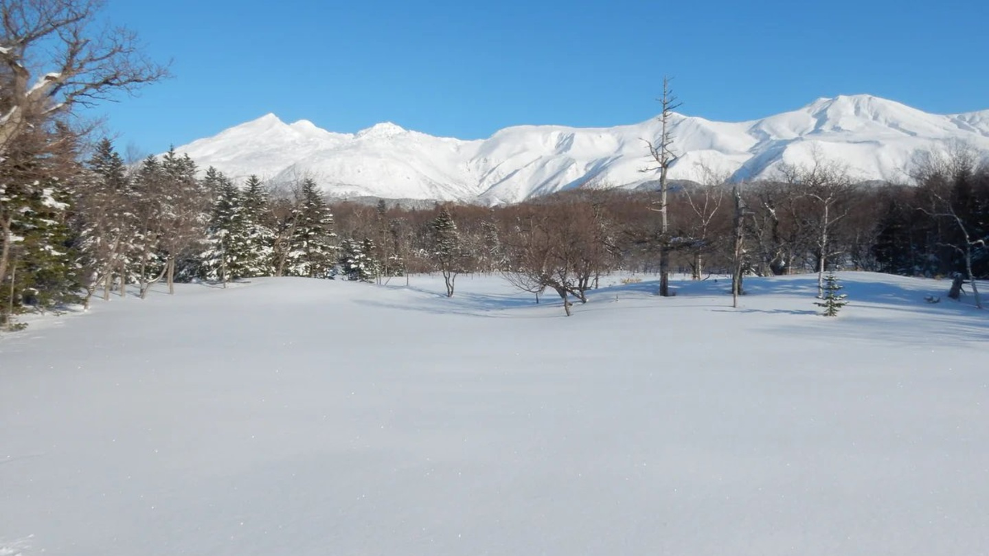 北海道知床世界遺產雪鞋健行｜走進知床五湖原始森林