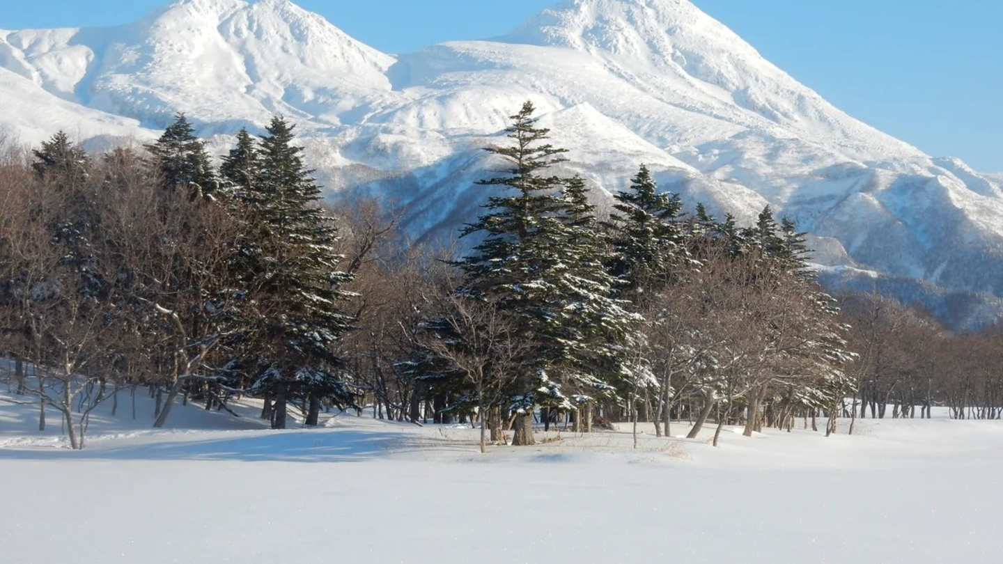 北海道知床世界遺產雪鞋健行｜走進知床五湖原始森林