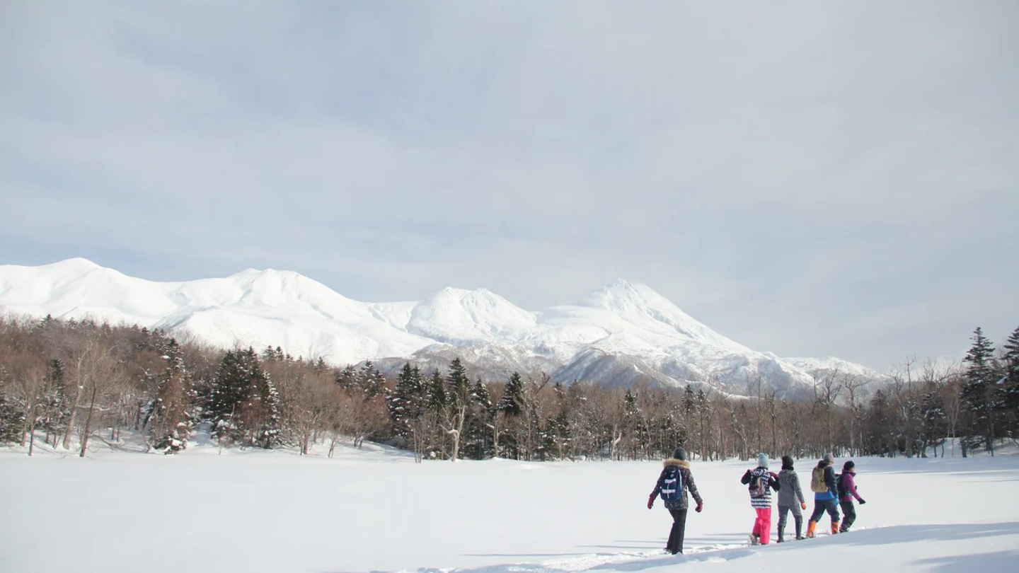 北海道知床世界遺產雪鞋健行｜走進知床五湖原始森林