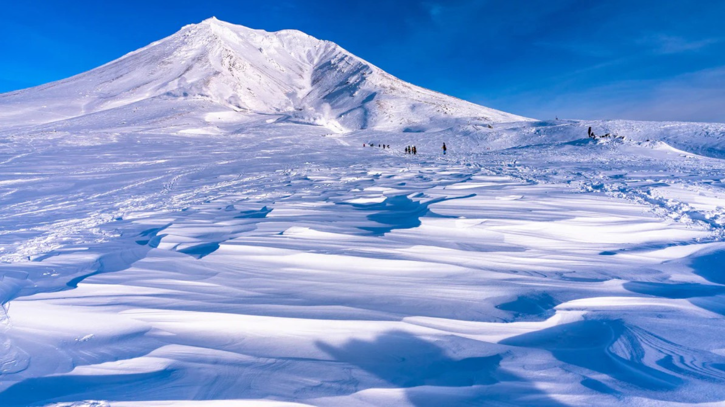 北海道東川町大雪山｜神明遊玩之庭：高山植被巡禮