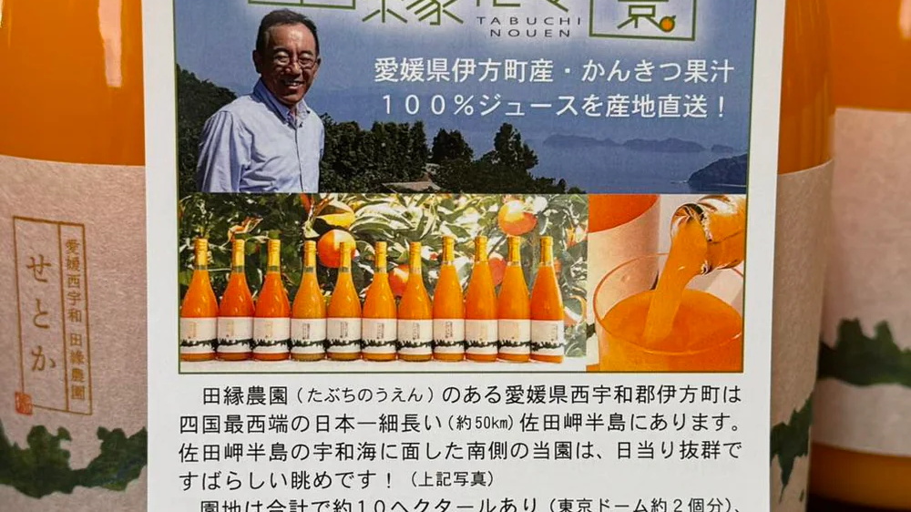 愛媛縣佐田岬半島愛媛田緣農園柑橘採摘｜海漂素材工藝手作