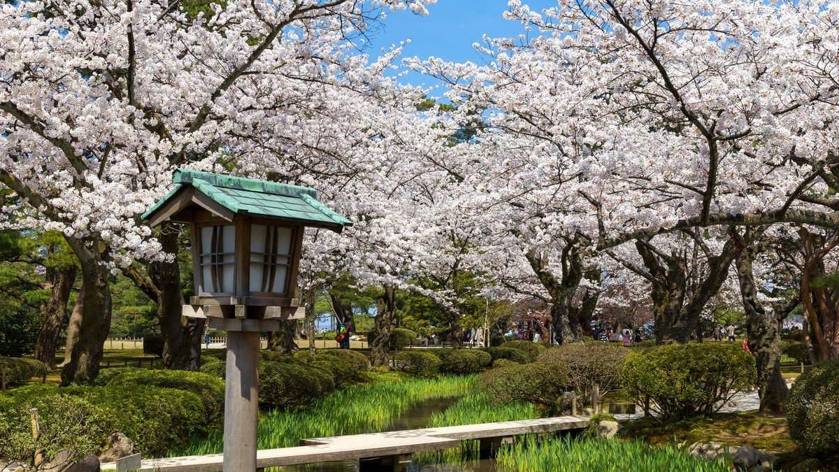 石川縣金澤日本三大名園「兼六園」｜兼六亭老舖朝食體驗