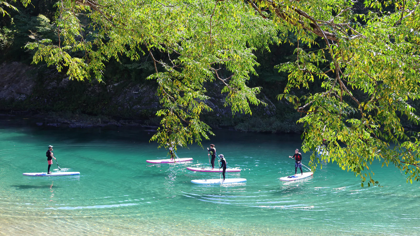鹿兒島縣的屋久島朝聖 7200 年繩文杉傳奇｜安房川清流 SUP 立槳