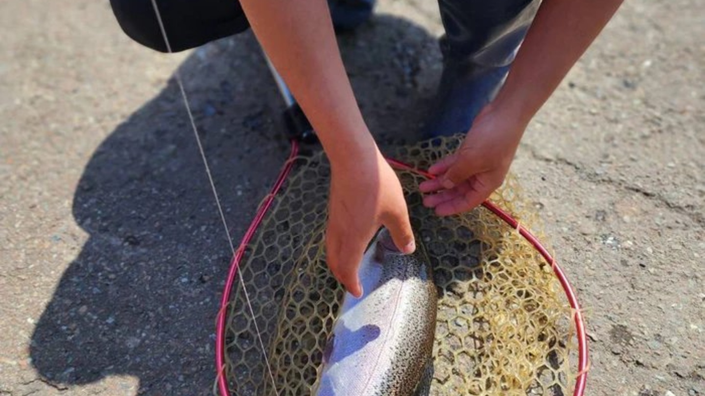 岩手縣大槌町桃畑鮭魚工坊｜親手釣魚與分切教學・現烤鮭魚料理