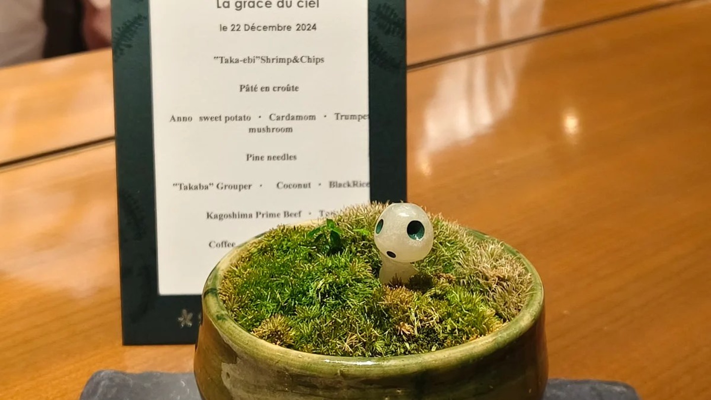 鹿兒島縣屋久島的世界遺產之森｜sankara hotel 套房美學・私人嚮導千年杉林健行