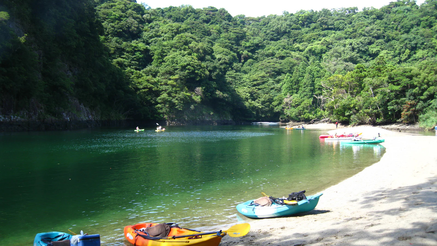 鹿兒島縣的屋久島朝聖 7200 年繩文杉傳奇｜安房川清流 SUP 立槳