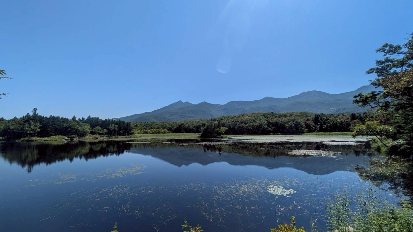 北海道知床世界自然遺產知床五湖｜專業官方認證嚮導引領，安全穿梭於五座神祕湖泊與原始林間發現棕熊痕跡與動植物命脈