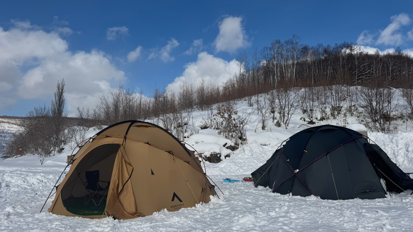 北海道富良野｜冬季限定雪下越冬高麗菜收穫體驗