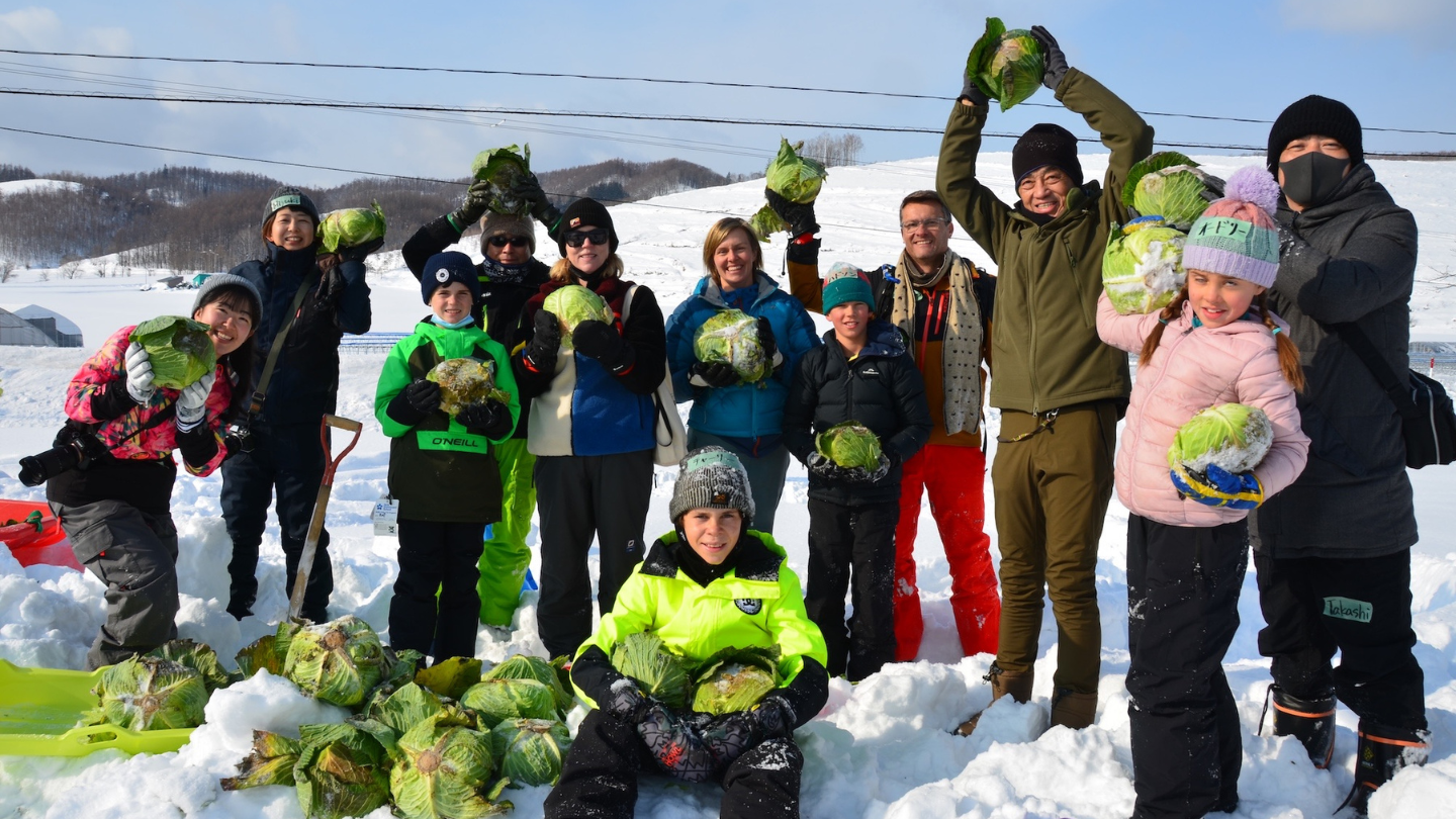 北海道富良野｜冬季限定雪下越冬高麗菜收穫體驗