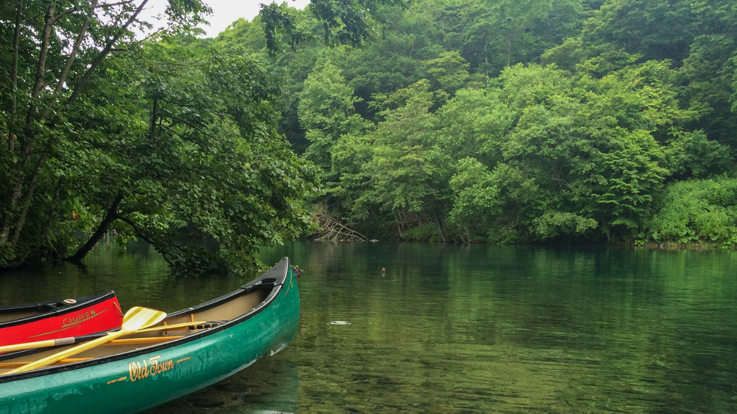 千歲美美川獨木舟探險｜新千歲機場穿越北海道原始森林