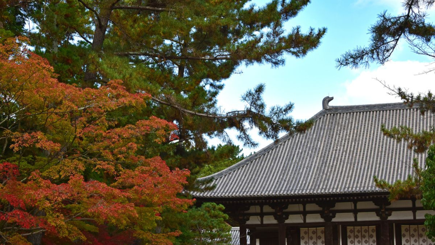 奈良世界遺產巴士一日遊｜法隆寺・中宮寺・藥師寺・唐招提寺五大名寺