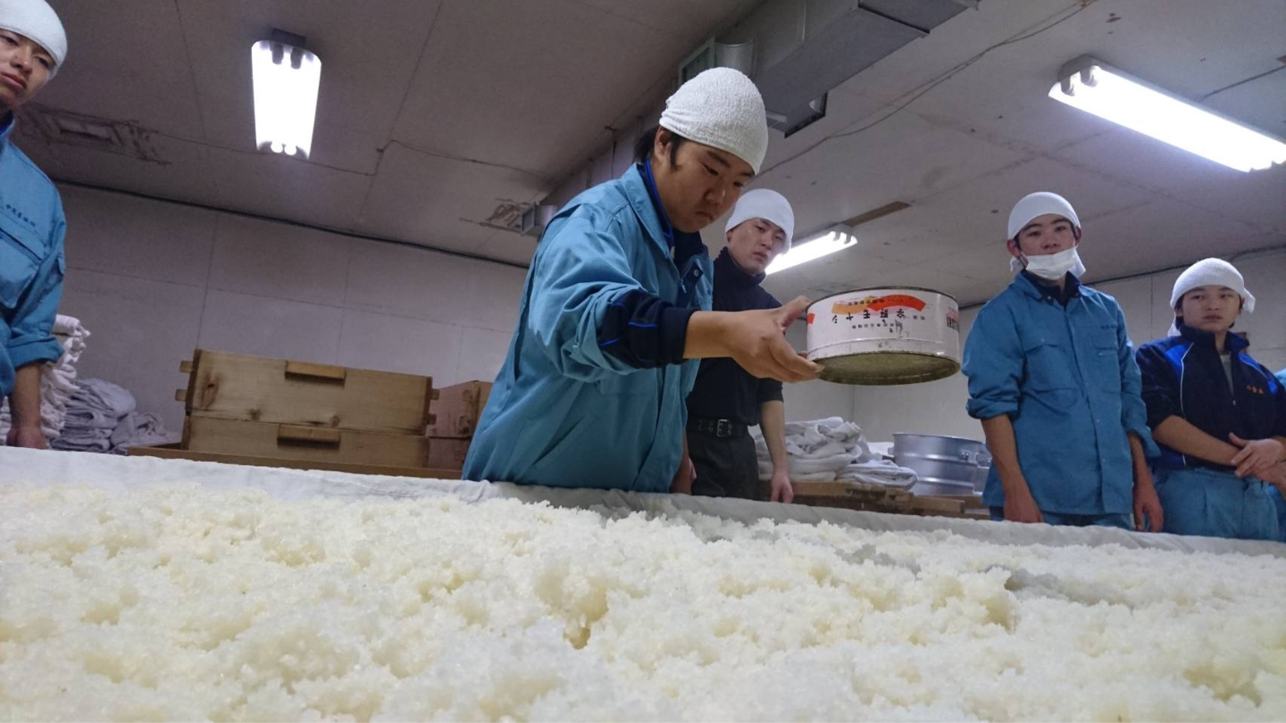 日本酒藏人製造現場深度體驗｜換上職人裝備走進釀酒最前線