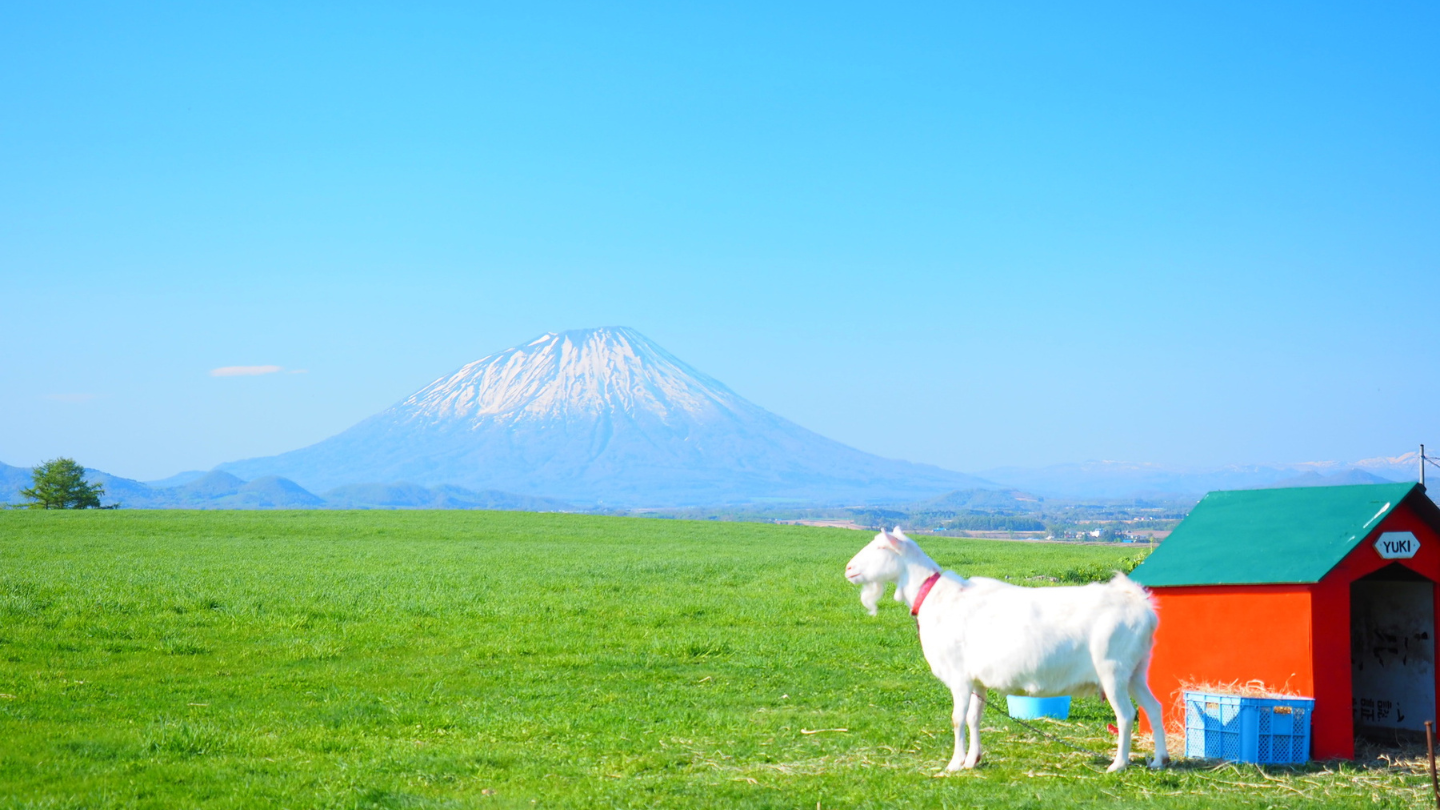 北海道登別地獄谷・洞爺湖包車一日遊｜全年皆可成行！中文司機