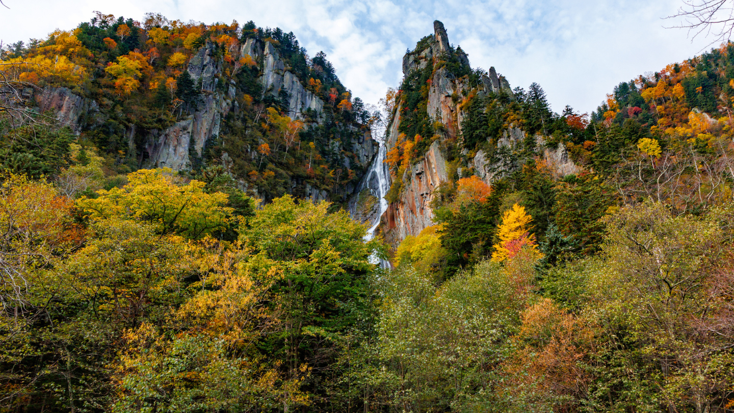 北海道包車一日遊｜全日最早紅葉絕景層雲峽秋季賞楓
