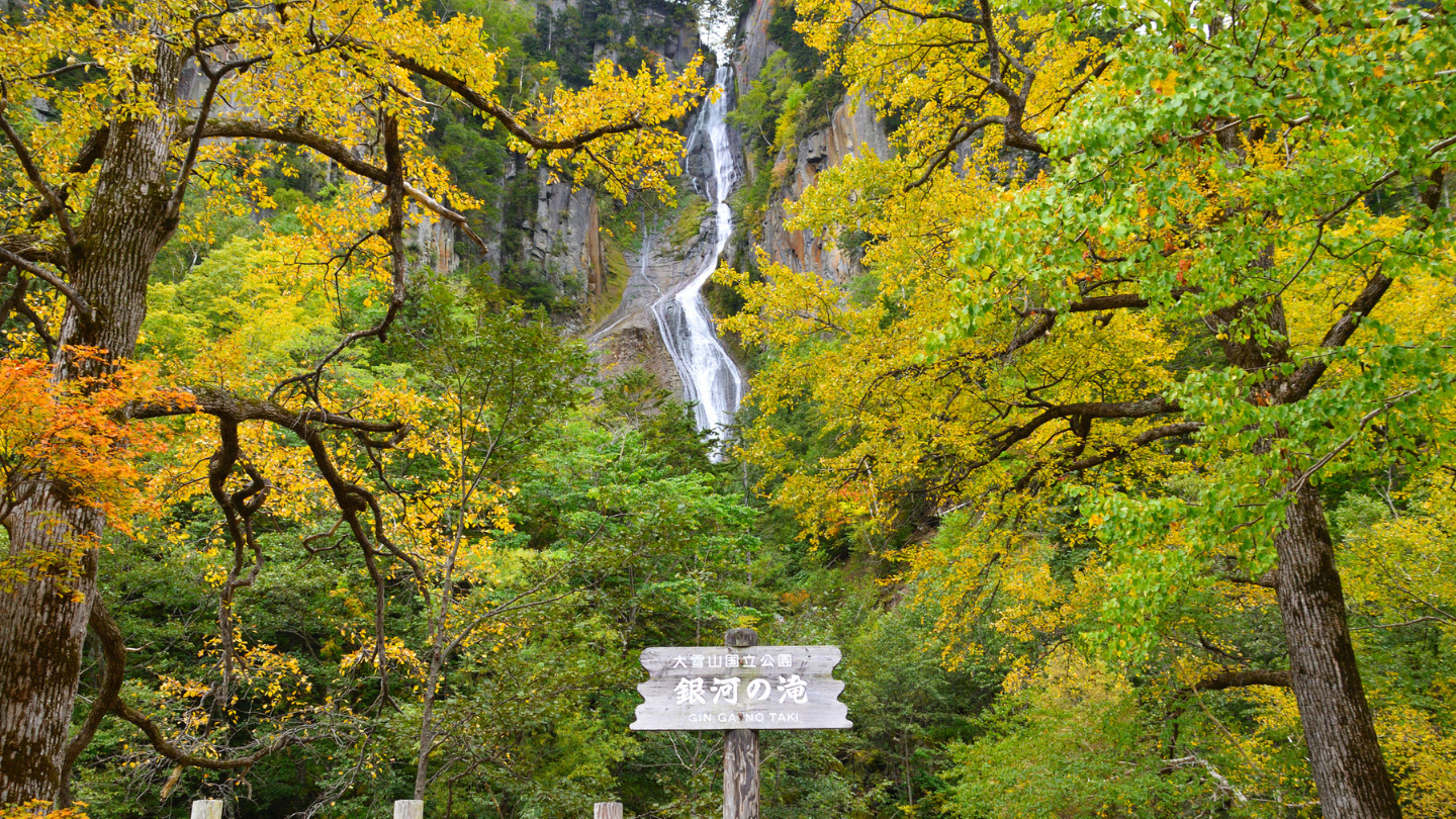 北海道包車一日遊｜全日最早紅葉絕景層雲峽秋季賞楓