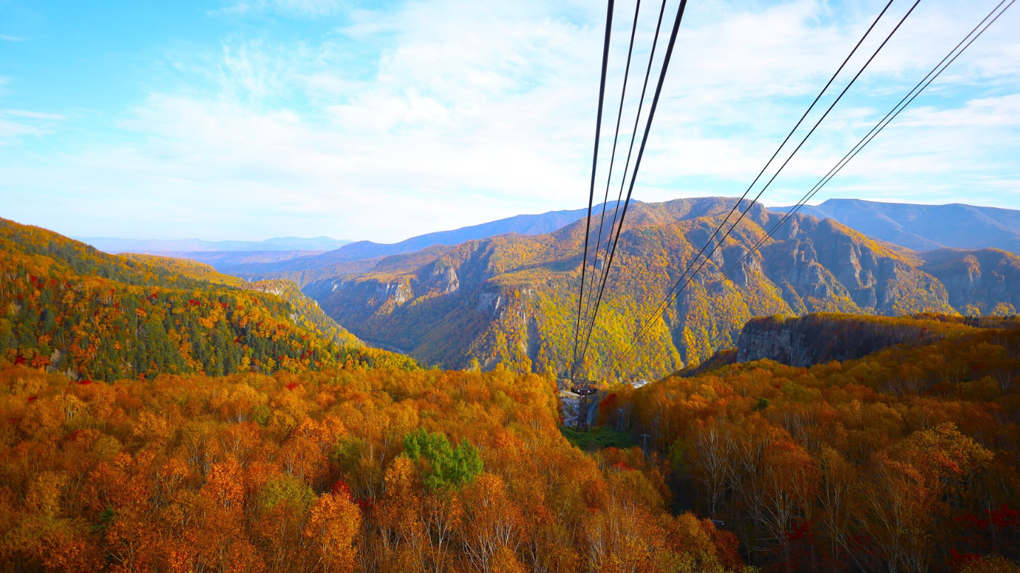 北海道包車一日遊｜全日最早紅葉絕景層雲峽秋季賞楓