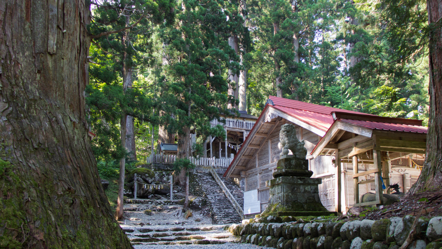 岐阜｜鵜飼×郡上徹夜舞・長良川文化
