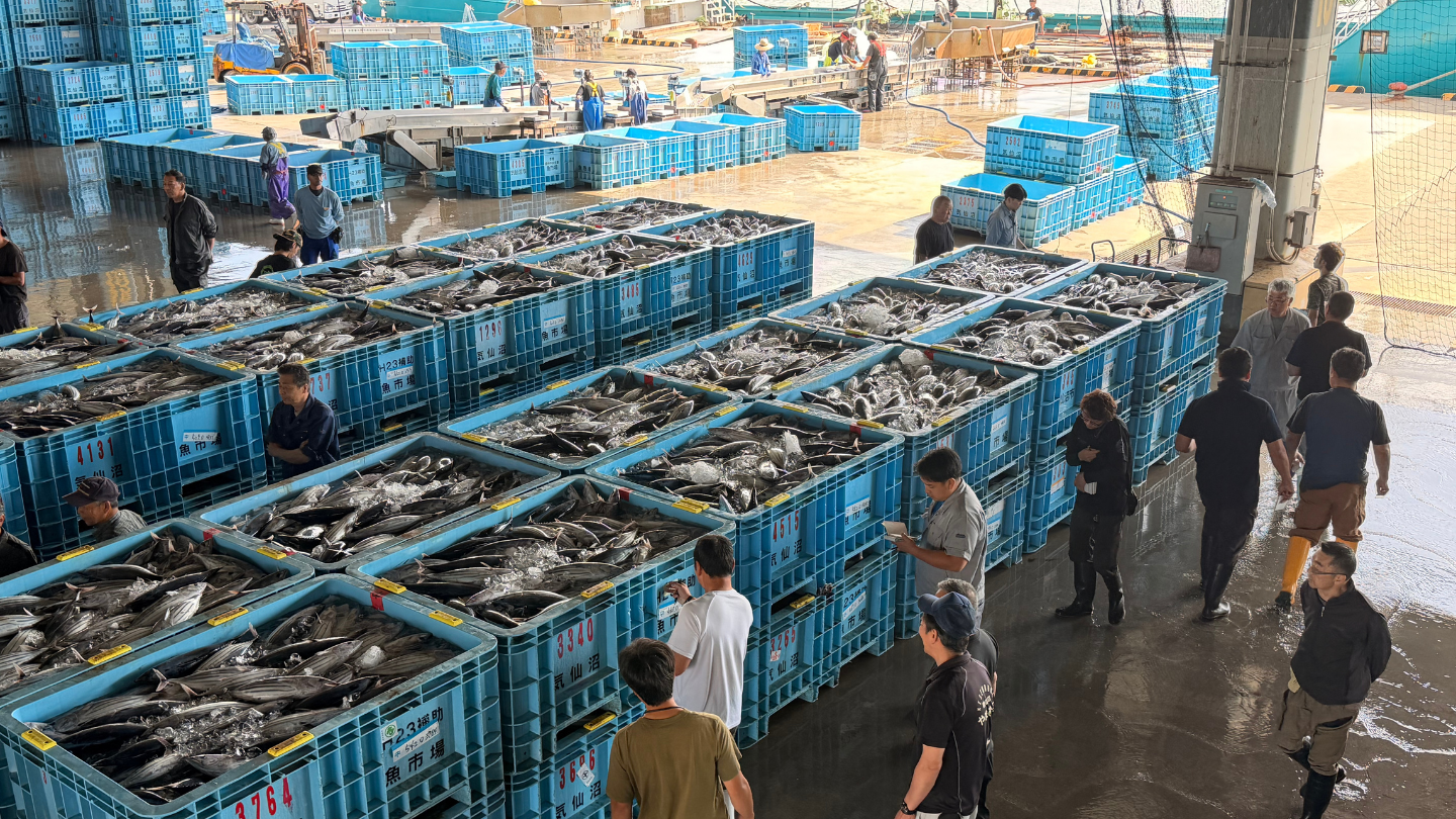 岩手宮城｜三陸食文化深潛×漁獵職人鮑魚魚翅5天4夜團