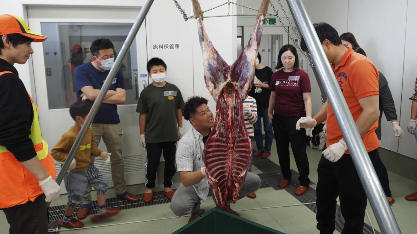 岩手宮城｜三陸食文化深潛×漁獵職人鮑魚魚翅5天4夜團