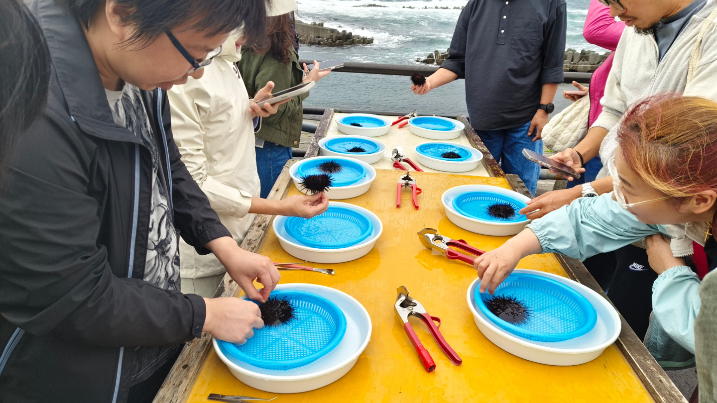 利尻島｜職人真實漁具剥海膽體驗・現撈即食日本第一鮮甜
